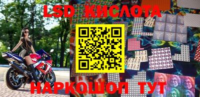 стаф Берёзовский