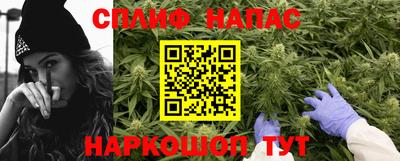 стаф Берёзовский
