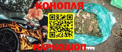 стаф Берёзовский