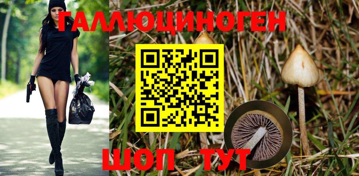 Псилоцибиновые грибы Psilocybe  Псилоцибиновые грибы мухоморы  как найти закладки  Вход с VPN  Дзержинский 