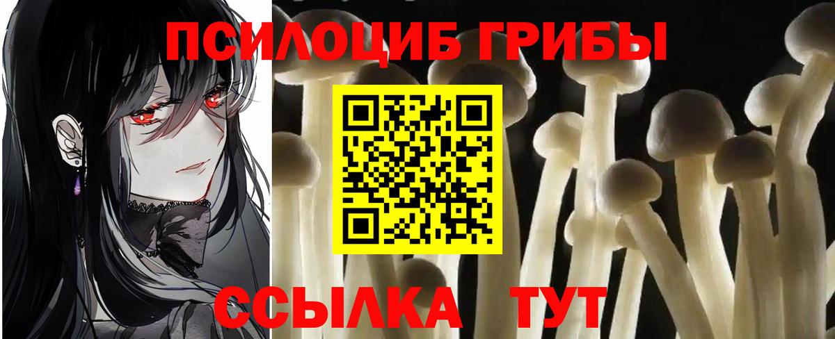 ГАШ Дзержинский