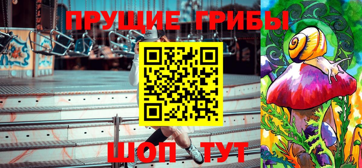 Псилоцибиновые грибы Cubensis Дзержинский