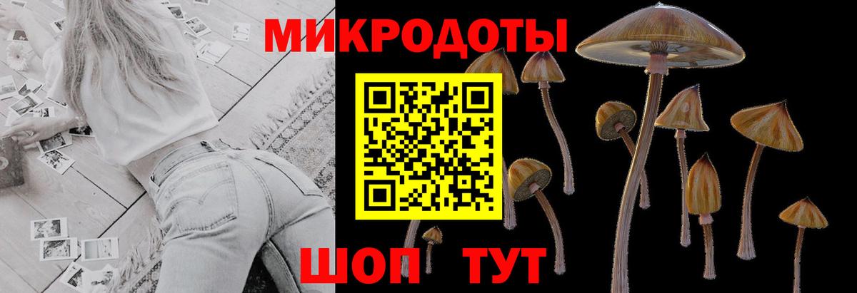 Галлюциногенные грибы Psilocybine cubensis Дзержинский